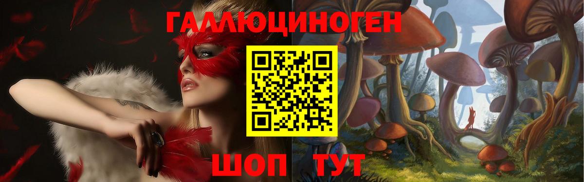 Галлюциногенные грибы Cubensis  Галлюциногенные грибы Cubensis  Вход с VPN  Заводоуковск 